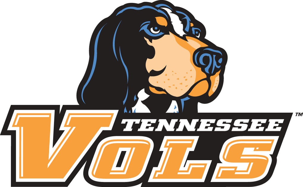 Tennessee Volunteers 2005-Pres Alternate Logo v2 iron on transfers for clothing...